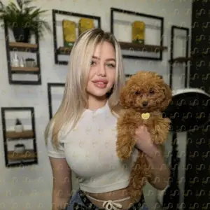 Gallery № 5