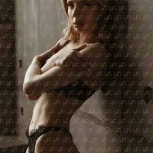Gallery № 11